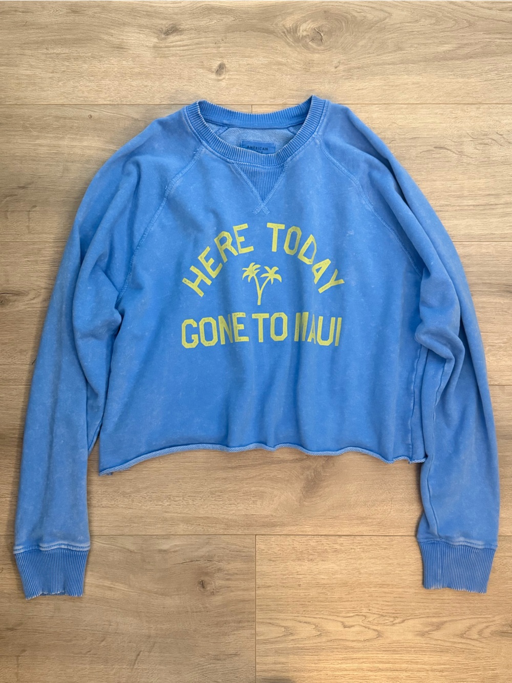 American Eagle Outfitters Blue Cropped Sweatshirt